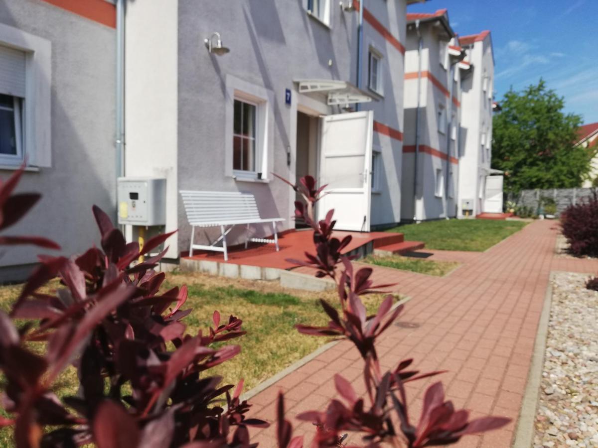 Апартаменти Apartament Przy Parku Курнік Екстер'єр фото